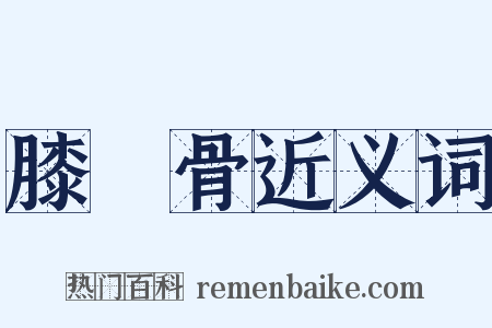 膝蓋骨近义词是什么意思的图片